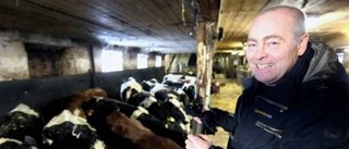 "Det behövs inte mer eko-mjölk på Gotland"
