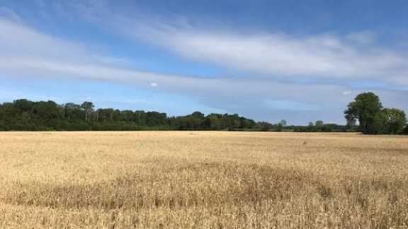 Hoburgs hembygdsförening -  Samtal om marken på Storsudret.