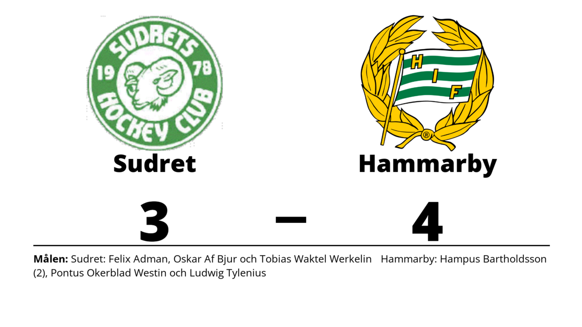 Förlust För Sudret Mot Hammarby Trots Comeback 