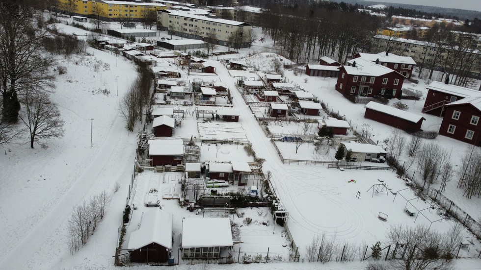 Koloniområdet i Råbergstorp i Eskilstuna som Jari Puustinen (M) vill låta riva.