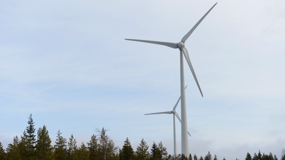 Fred. Olsen Renewables som planerar att bygga vindkraftverk i Horn kommer att polisanmäla torsdagens händelser i Hycklinge.