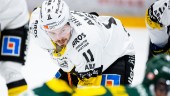 VIK-kaptenerna är utsedda: "En naturlig ledare"