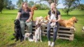 Systrarna tar över hunddagiset i Visby – är redan igång