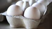 Matjättarna återkallar ägg efter salmonellalarm