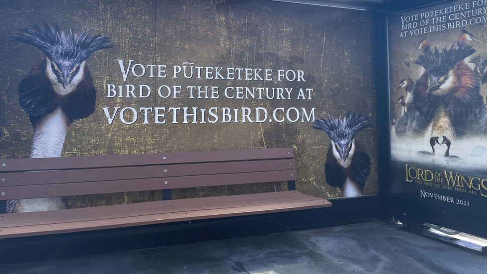 En av kampanjaffischerna för århundradets fågel, här från Wellington i Nya Zeeland.