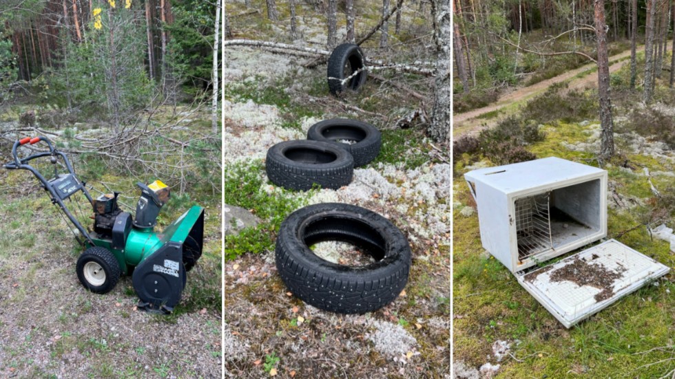 Flera olika sorters skräp har dumpats i skogen utanför Järnforsen.
