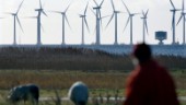Regeringen säger nej till vindkraftspark