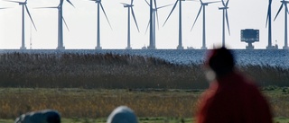 Regeringen säger nej till vindkraftspark