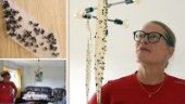 Hennes hem invaderas av flugor: "Det är äckligt"