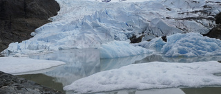 Glaciärer krymper med en meter om året