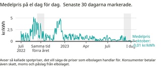 Rea i helgen: Därför är elpriset i Västervik ovanligt lågt