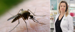 Experten: Här är produkterna som skyddar mot myggbett