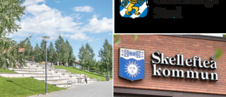 Förslag att Skellefteå ska byta namn