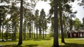 Här ska Skellefteås nya festival snart ha premiär