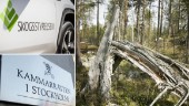 Skogsägare får rätt mot Skogsstyrelsen – nyckelbiotoper hävs