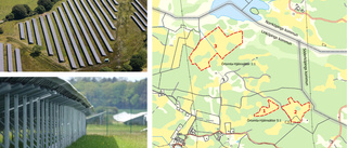 Företag vill bygga en stor solcellspark i Linköping 