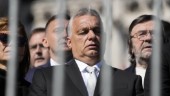 Viktor Orbán längtar efter Donald Trump
