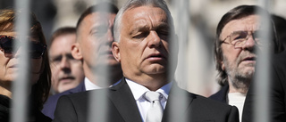 Krav i EU: Hoppa över Ungern som ordförande