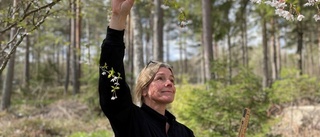 Sex trädgårdstips – för maj månad i Västervik