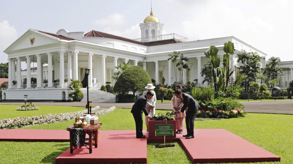 Kejsarparet Naruhito och Masako samarbetar med presidentparet Iriana och Joko Widodo vid en trädplanteringsceremoni i palatsets trädgård.