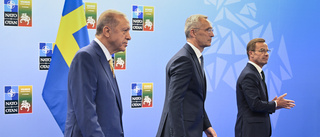 Så påverkar Natobeskedet handeln med Turkiet