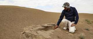 Sandstormar begraver forna Babylonien