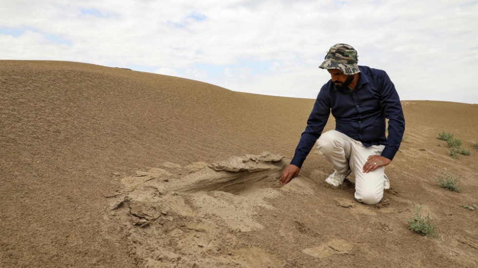 Arkeologen Aqeel al-Mansarawi söker efter de antika ruinerna vid fyndplatsen Umm al-Aqarib som drabbats hårt av sandstormarna.