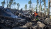 Oro inför värmen – stor risk för skogsbränder