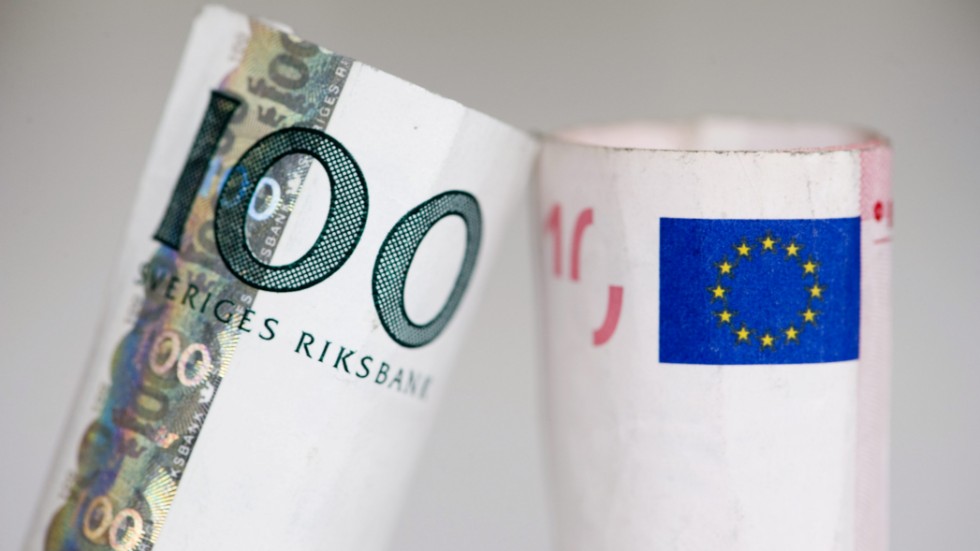 20 år har gått sedan Sverige senast tog ställning till euron. Sedan dess har mycket förändrats, menar Liberalerna, som vill att Sverige nu går in i eurosamarbetet.