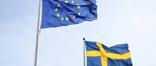 Rekordstort stöd för svenskt EU-medlemskap