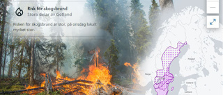 Just nu är risken för skogsbrand mycket stor