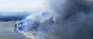 Skogsbrand härjade sydkoreansk stad