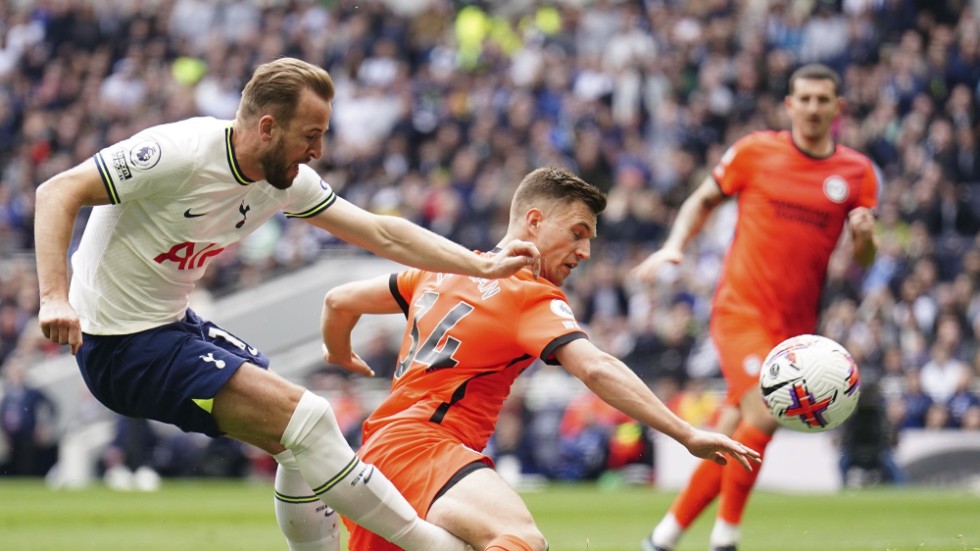 Tottenhams Harry Kane avgjorde mot Brighton.