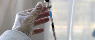 WHO och Pfizer överens om vaccinleverans