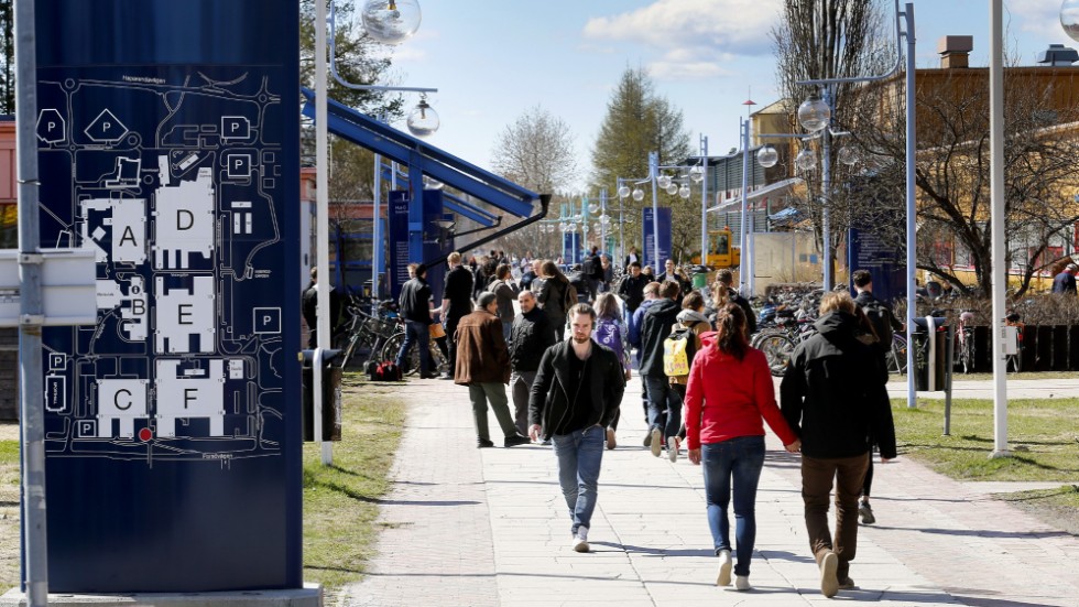 Det behövs fler utbildningsplatser på Luleå tekniska universitet för att Norrbotten inte ska halka efter.