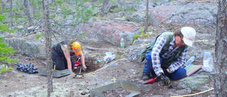 Ny utgrävning vid Bureå – har samlat 145 kilo lämningar från stenåldern
