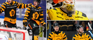 Alla AIK-betyg under SHL-inledningen: Tre med full pott – fyra får underkänt