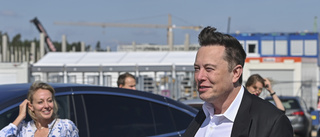 Elon Musk i Sverige