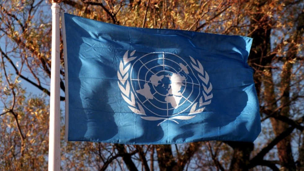 Tyvärr har det visat sig att FN:s kvalitet och insatser beror på vilken ledning FN har samt vad medlemsländerna anser, skriver signaturen "Vad kan man förvänta sig av FN?"

  