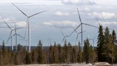 Vindkraft i trä i Norrbotten ger dubbel klimatvinst