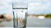Varningen: Ställ inte vattenglaset i solen • Blomvasen på fönsterbrädan kan vara livsfarlig
