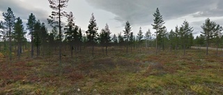 Ägarbyte för skogen på Keräntöjärvi 1 i Junosuando