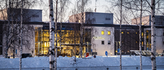 Nätläkarna nyttjas mest i centrala Luleå