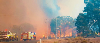 Skogsbrand i utkanten av Perth