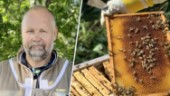 Biodlaren som är allergisk mot bin