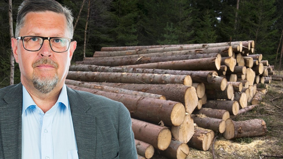 "Det finns både statsfinansiella och mer principiella skäl för det statliga skogsägandet", anser NSD:s Olov Abrahamsson.