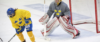 Historiskt avtal för svensk damhockey