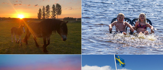 Här är alla läsarnas inskickade sommarbilder från vecka 27