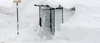 SMHI varnar för en riktig snösnyting