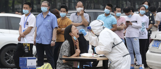 WHO släpps in i Kina efter ett år av virusdöd